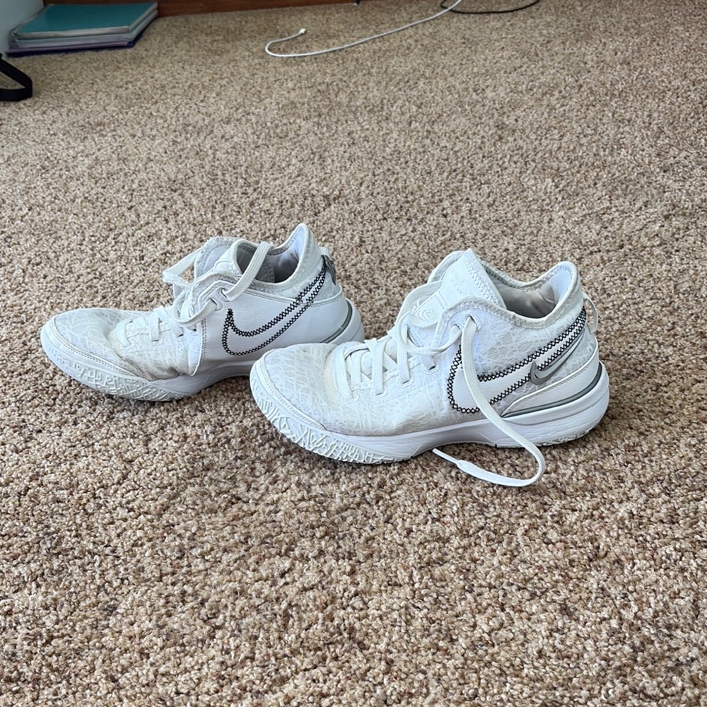 Nike Zoom LeBron NXXT Gen Court shoes